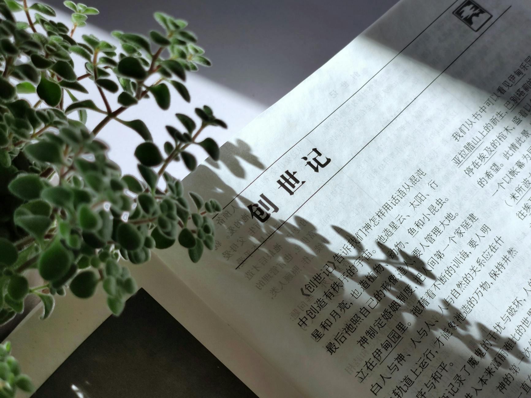 合同三大抗辩权：同时履行、先履行、不安抗辩权深度解